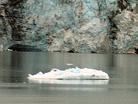DSC 6044 adj  An Iceberg!